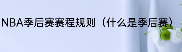 NBA季后赛赛程规则（什么是季后赛）