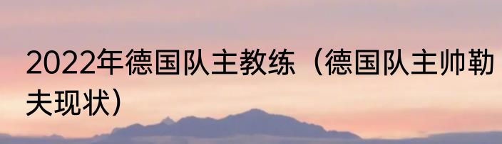 2022年德国队主教练（德国队主帅勒夫现状）