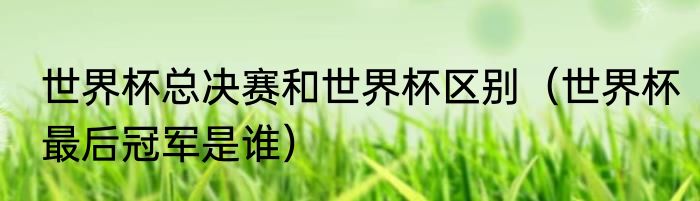 世界杯总决赛和世界杯区别（世界杯最后冠军是谁）