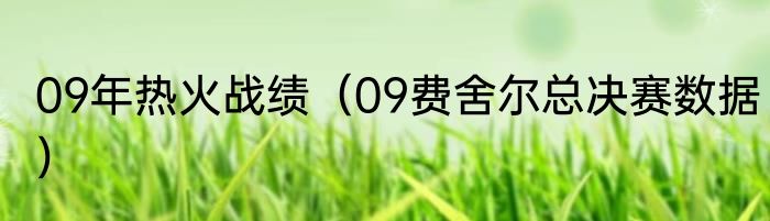 09年热火战绩（09费舍尔总决赛数据）