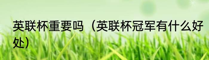 英联杯重要吗（英联杯冠军有什么好处）