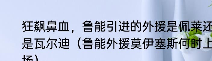 狂飙鼻血，鲁能引进的外援是佩莱还是瓦尔迪（鲁能外援莫伊塞斯何时上场）