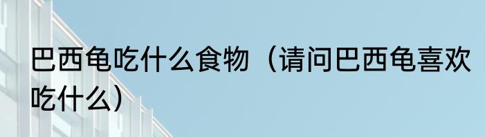 巴西龟吃什么食物(请问巴西龟喜欢吃什么)
