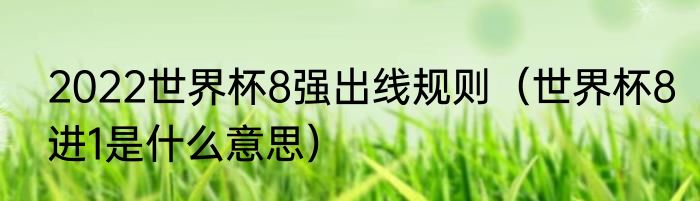 2022世界杯8强出线规则（世界杯8进1是什么意思）