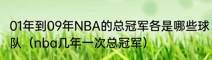 01年到09年NBA的总冠军各是哪些球队（nba几年一次总冠军）
