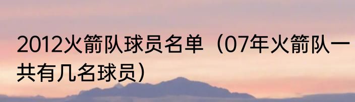 2012火箭队球员名单（07年火箭队一共有几名球员）