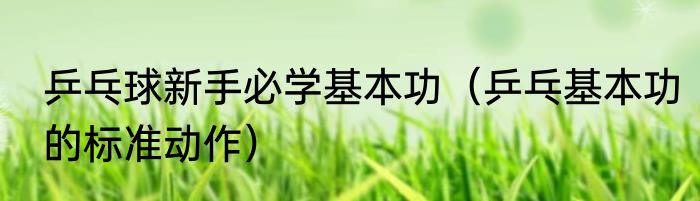 乒乓球新手必学基本功（乒乓基本功的标准动作）