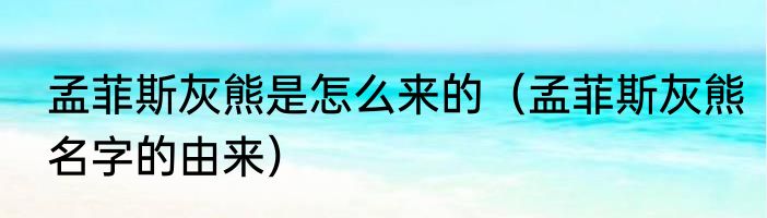 孟菲斯灰熊是怎么来的（孟菲斯灰熊名字的由来）