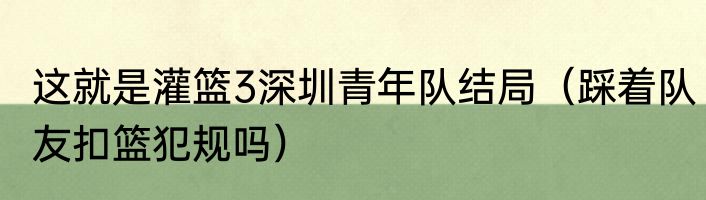 这就是灌篮3深圳青年队结局（踩着队友扣篮犯规吗）
