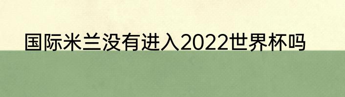 国际米兰没有进入2022世界杯吗