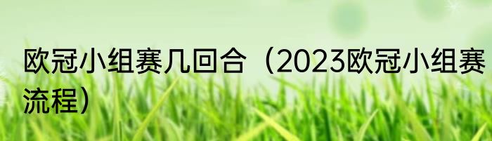 欧冠小组赛几回合（2023欧冠小组赛流程）