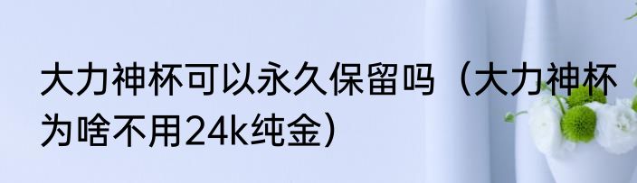 大力神杯可以永久保留吗（大力神杯为啥不用24k纯金）