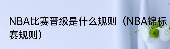NBA比赛晋级是什么规则（NBA锦标赛规则）