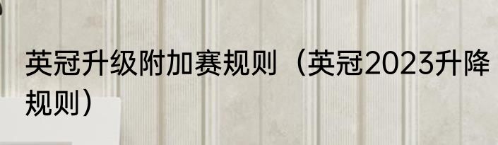 英冠升级附加赛规则（英冠2023升降规则）