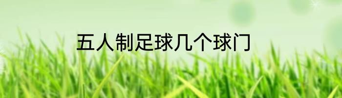 五人制足球几个球门