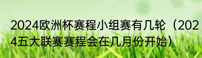 2024欧洲杯赛程小组赛有几轮（2024五大联赛赛程会在几月份开始）