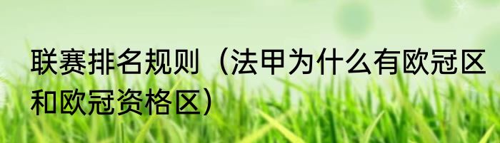 联赛排名规则（法甲为什么有欧冠区和欧冠资格区）