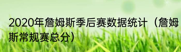 2020年詹姆斯季后赛数据统计（詹姆斯常规赛总分）