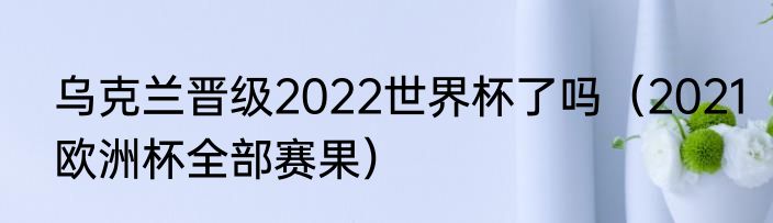 乌克兰晋级2022世界杯了吗（2021欧洲杯全部赛果）