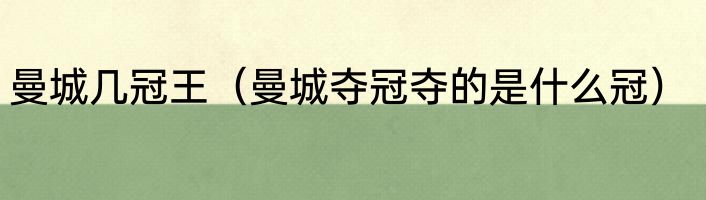 曼城几冠王（曼城夺冠夺的是什么冠）