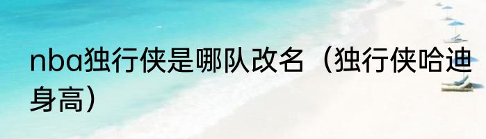 nba独行侠是哪队改名（独行侠哈迪身高）
