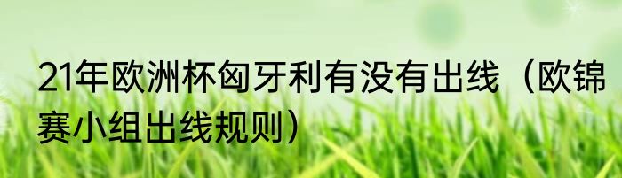 21年欧洲杯匈牙利有没有出线（欧锦赛小组出线规则）