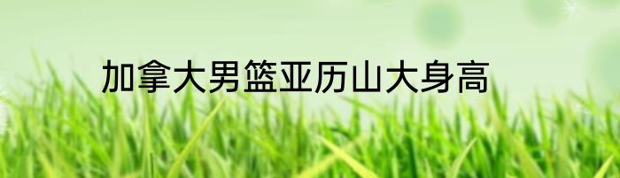 加拿大男篮亚历山大身高