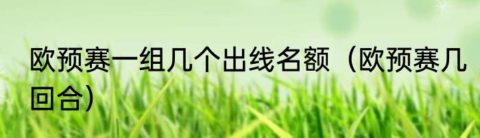 欧预赛一组几个出线名额（欧预赛几回合）