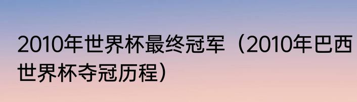 2010年世界杯最终冠军（2010年巴西世界杯夺冠历程）