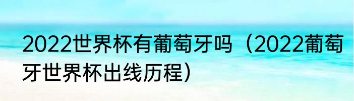 2022世界杯有葡萄牙吗（2022葡萄牙世界杯出线历程）
