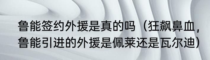 鲁能签约外援是真的吗（狂飙鼻血，鲁能引进的外援是佩莱还是瓦尔迪）