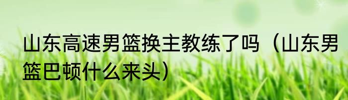 山东高速男篮换主教练了吗（山东男篮巴顿什么来头）