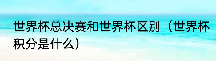 世界杯总决赛和世界杯区别（世界杯积分是什么）