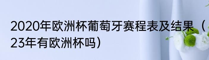 2020年欧洲杯葡萄牙赛程表及结果（23年有欧洲杯吗）