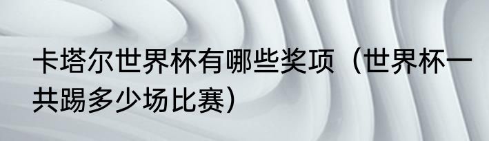 卡塔尔世界杯有哪些奖项（世界杯一共踢多少场比赛）