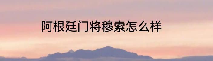 阿根廷门将穆索怎么样