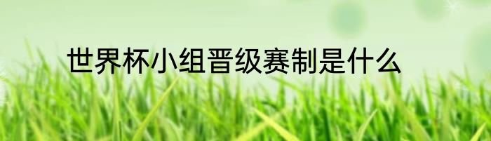 世界杯小组晋级赛制是什么