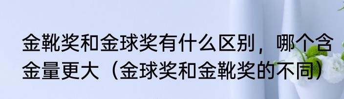 金靴奖和金球奖有什么区别，哪个含金量更大（金球奖和金靴奖的不同）