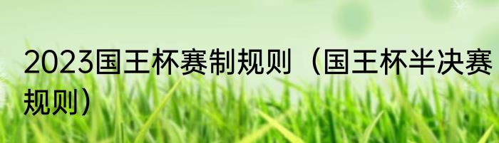 2023国王杯赛制规则（国王杯半决赛规则）