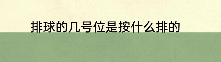 排球的几号位是按什么排的