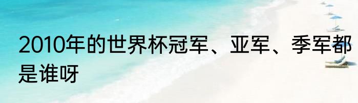 2010年的世界杯冠军、亚军、季军都是谁呀