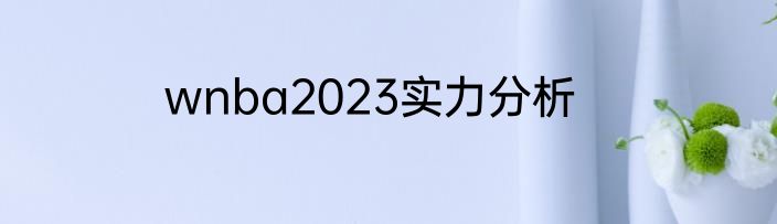wnba2023实力分析
