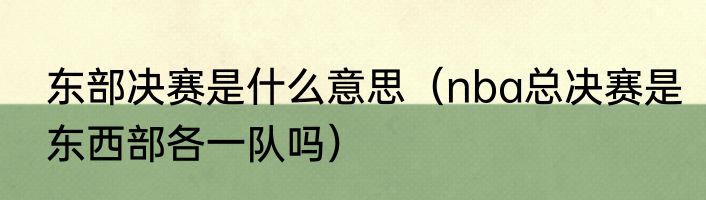 东部决赛是什么意思（nba总决赛是东西部各一队吗）