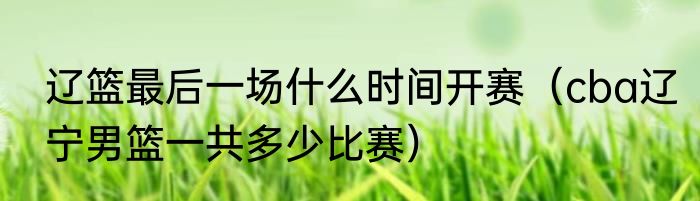 辽篮最后一场什么时间开赛（cba辽宁男篮一共多少比赛）