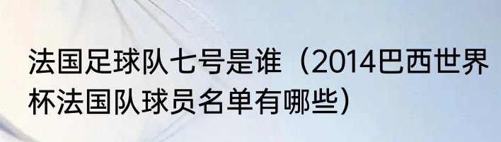 法国足球队七号是谁（2014巴西世界杯法国队球员名单有哪些）