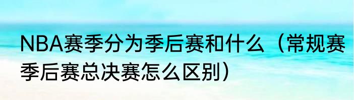 NBA赛季分为季后赛和什么（常规赛季后赛总决赛怎么区别）