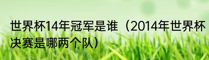 世界杯14年冠军是谁（2014年世界杯决赛是哪两个队）