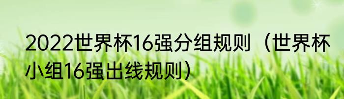2022世界杯16强分组规则（世界杯小组16强出线规则）