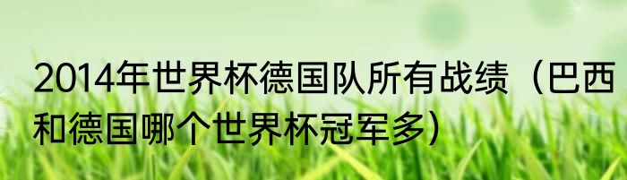 2014年世界杯德国队所有战绩（巴西和德国哪个世界杯冠军多）
