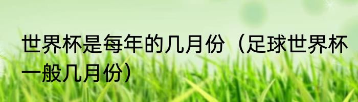 世界杯是每年的几月份（足球世界杯一般几月份）